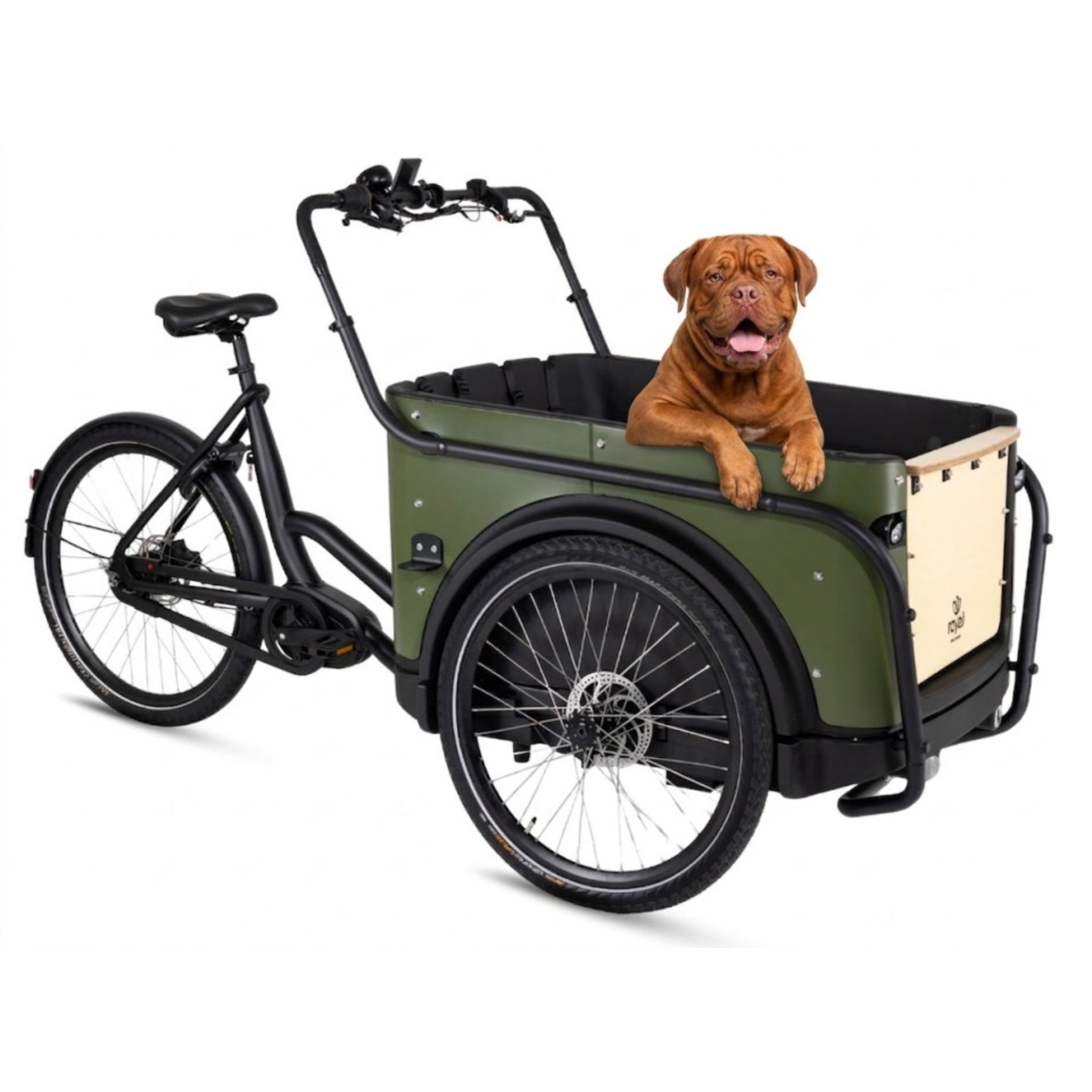 Elektrische bakfiets 3 wielen Royal Cargo Bike voor veilig hondenvervoer