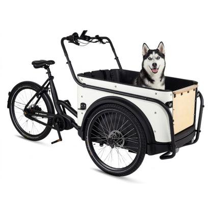Elektrische bakfiets 3 wielen Royal Cargo Bike voor veilig hondenvervoer