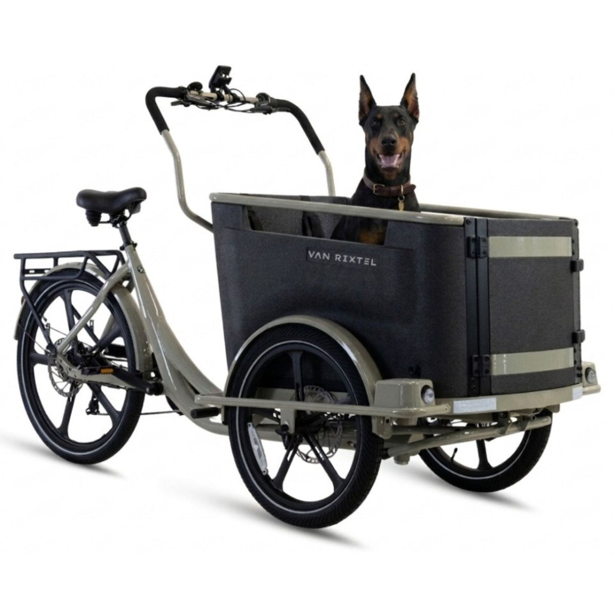 Elektrische bakfiets hond met lage instap en ruime EPP-bak