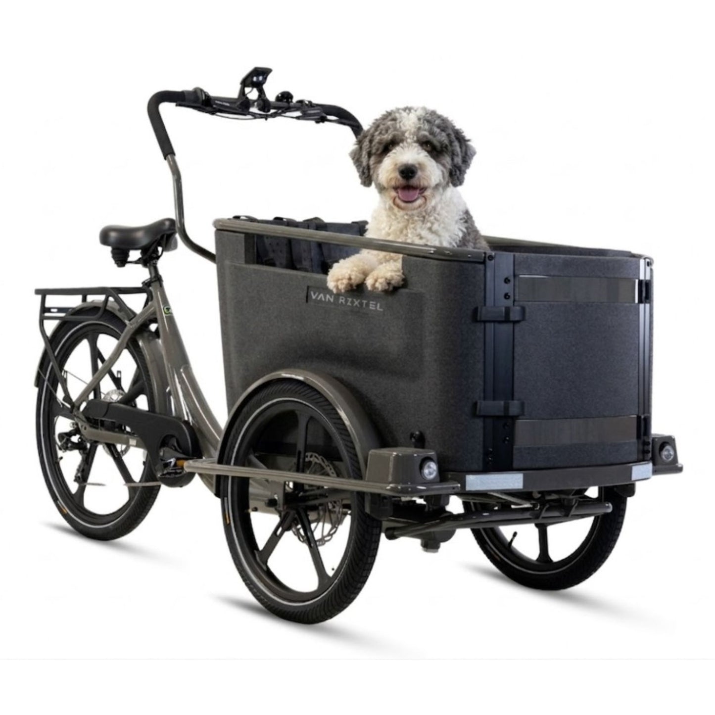 Elektrische bakfiets hond met lage instap en ruime EPP-bak