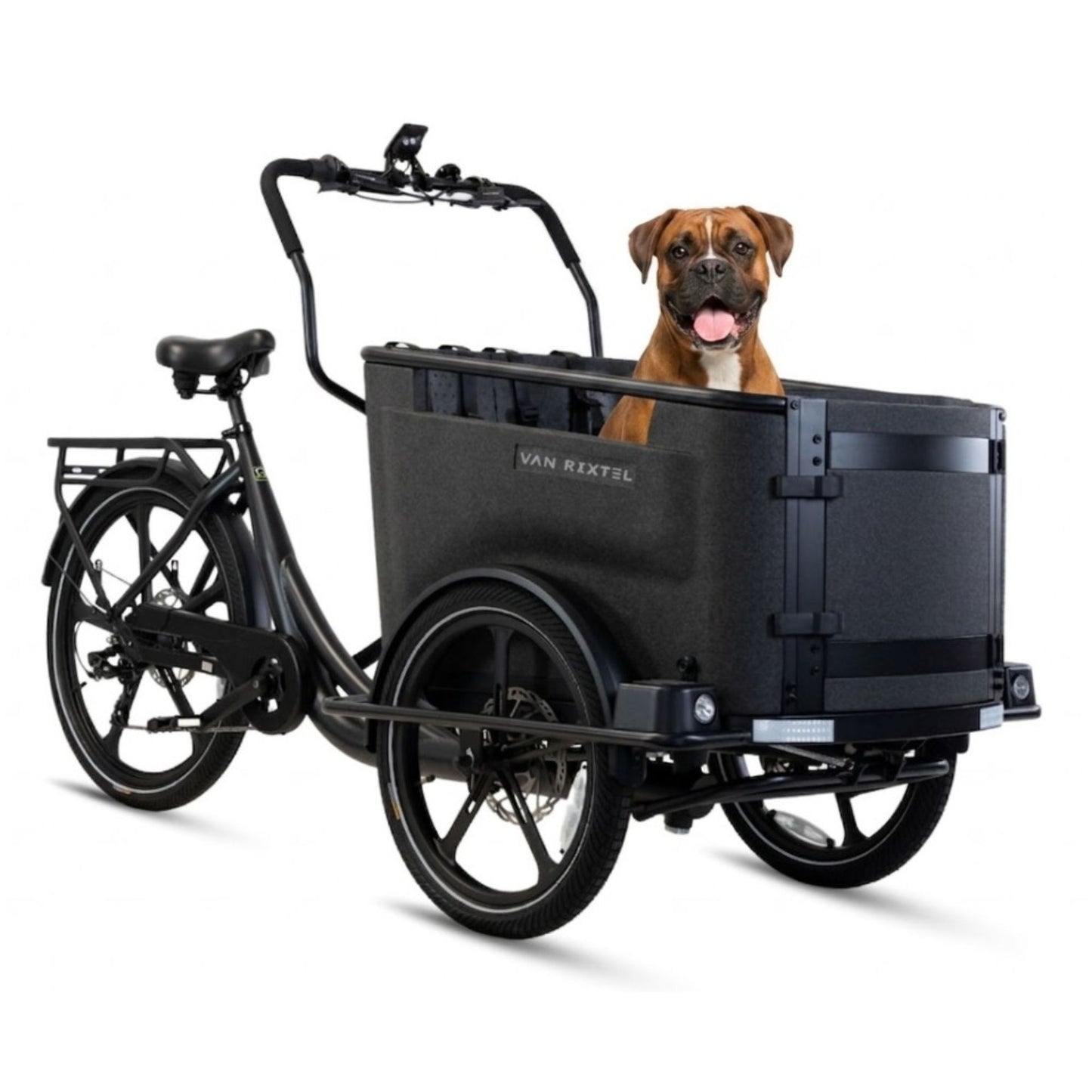 Elektrische bakfiets hond met lage instap en ruime EPP-bak