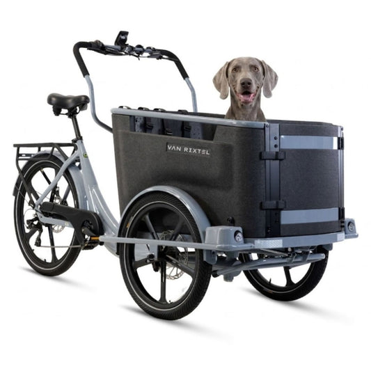 Elektrische bakfiets hond met lage instap en ruime EPP-bak