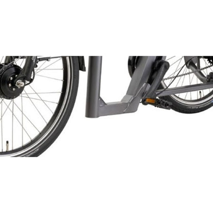 Comfortabele driewieler elektrische fiets voor volwassenen met lage instap