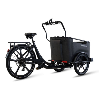Elektrische bakfiets driewieler Van Rixtel Family met ruime gezinsbak en veiligheidsdeurtje