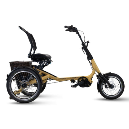 Driewieler elektrische fiets voor volwassenen met lage instap