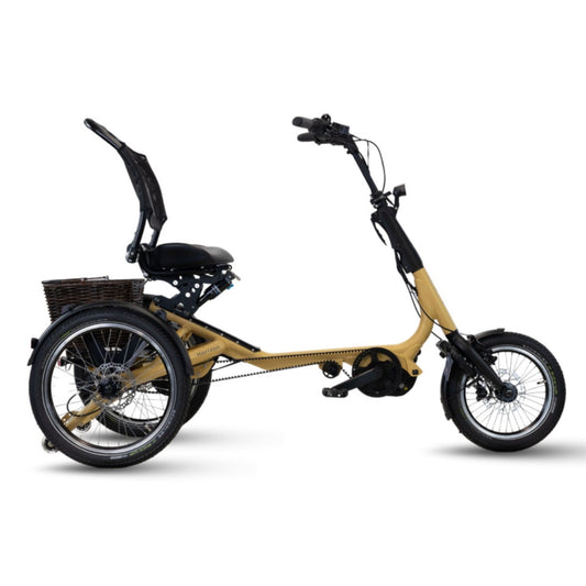 Driewieler elektrische fiets voor volwassenen met lage instap