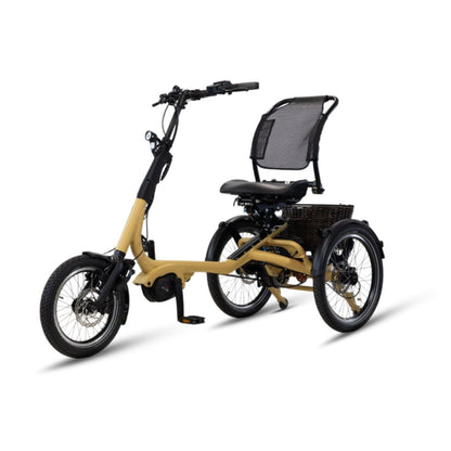Driewieler elektrische fiets voor volwassenen met lage instap