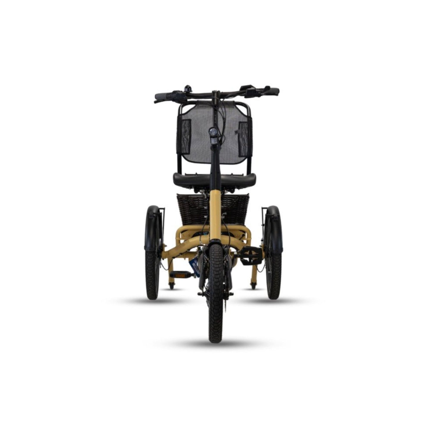 Driewieler elektrische fiets voor volwassenen met lage instap