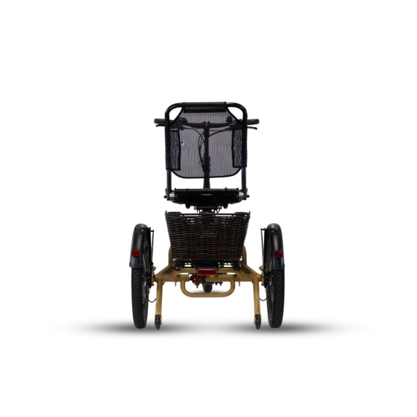 Driewieler elektrische fiets voor volwassenen met lage instap