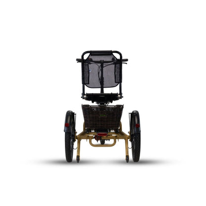 Driewieler elektrische fiets voor volwassenen met lage instap