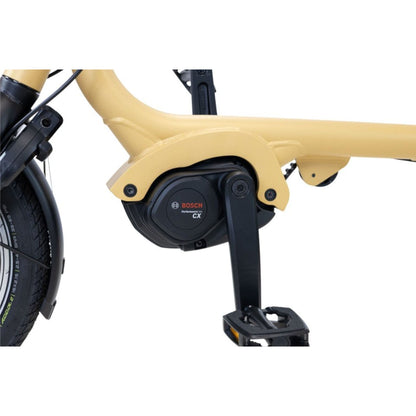 Driewieler elektrische fiets voor volwassenen met lage instap