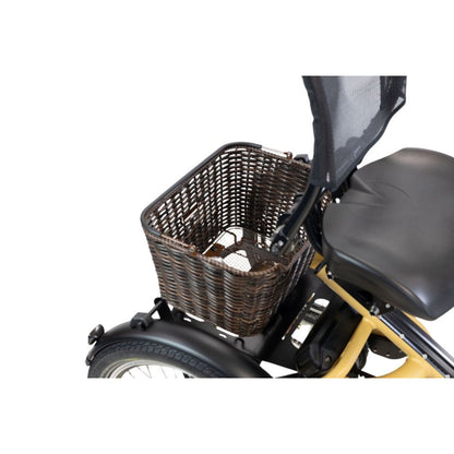 Driewieler elektrische fiets voor volwassenen met lage instap