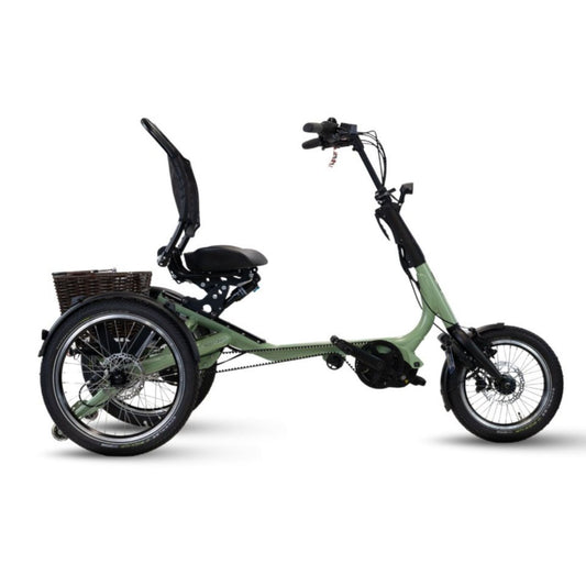Driewieler elektrische fiets voor volwassenen met lage instap