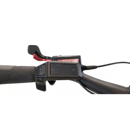 Driewieler elektrische fiets voor volwassenen met lage instap