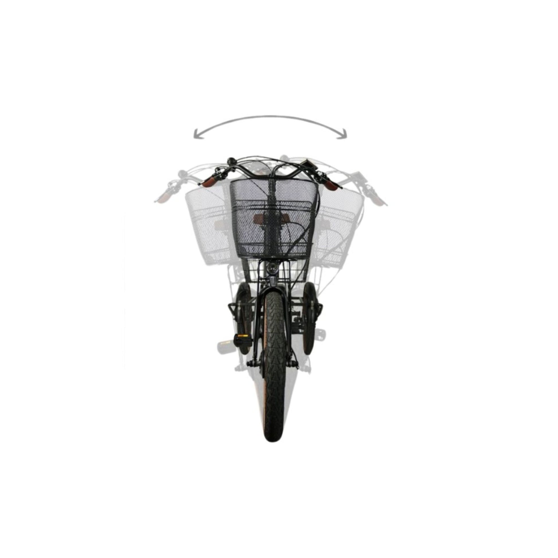 Elektrische driewieler Van Rixtel Swing Compact Fold met swing-functie