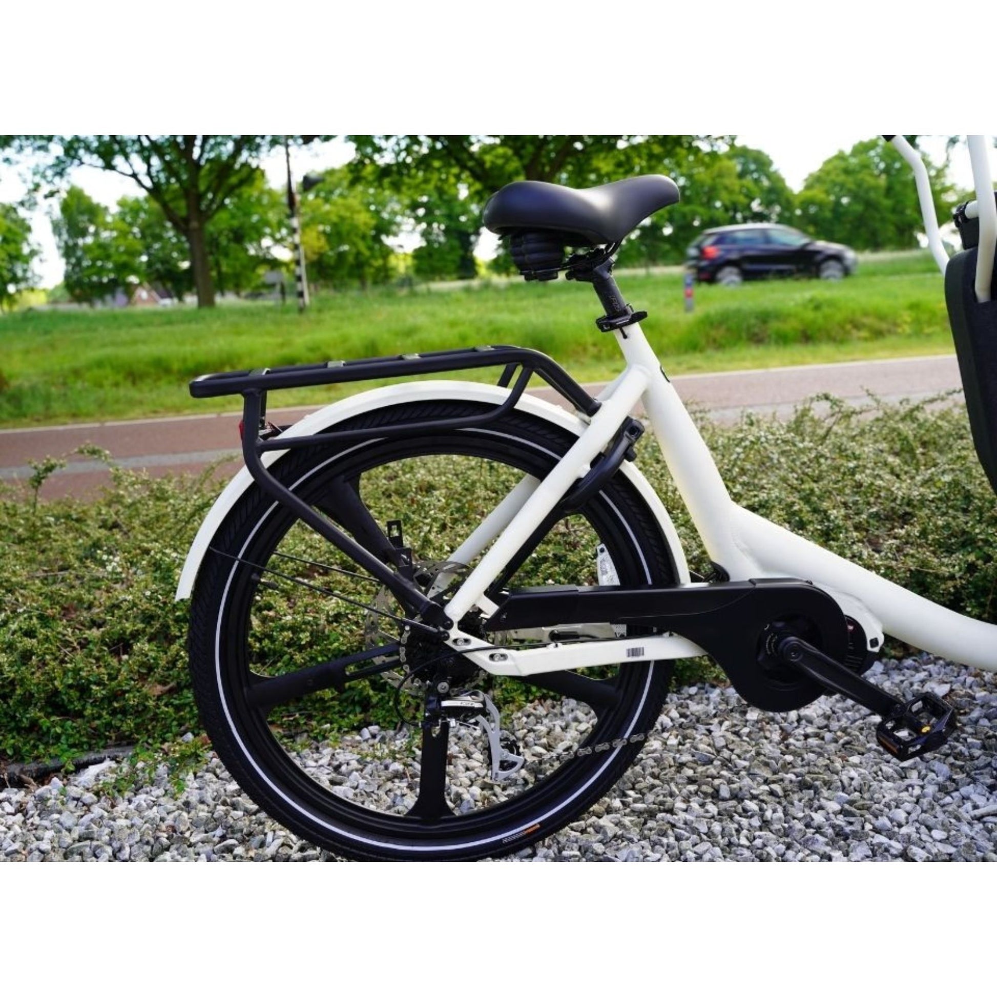 Elektrische bakfiets hond – ruime EPP-bak met instapdeurtje Van Rixtel Urban Plus